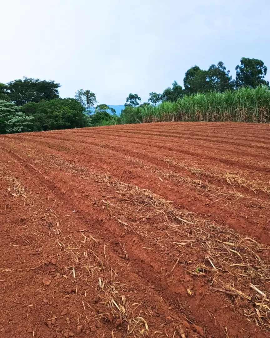 Venda - área de terras